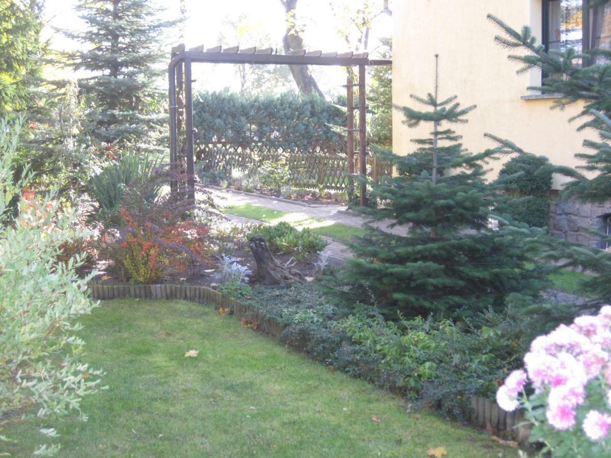 Pension Zum Weissen Hirsch Reitwein Exterior photo