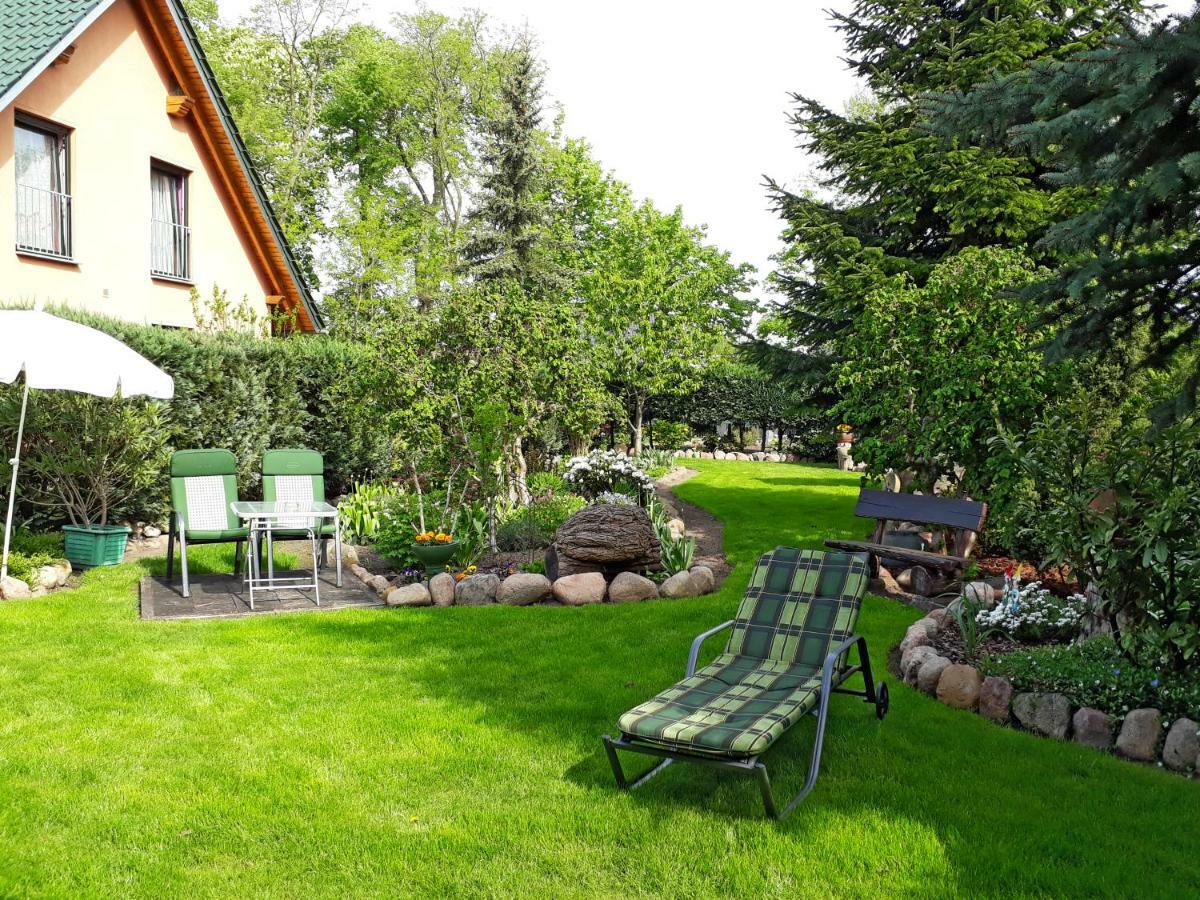 Pension Zum Weissen Hirsch Reitwein Exterior photo