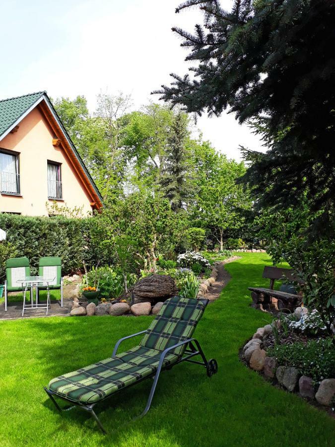 Pension Zum Weissen Hirsch Reitwein Exterior photo