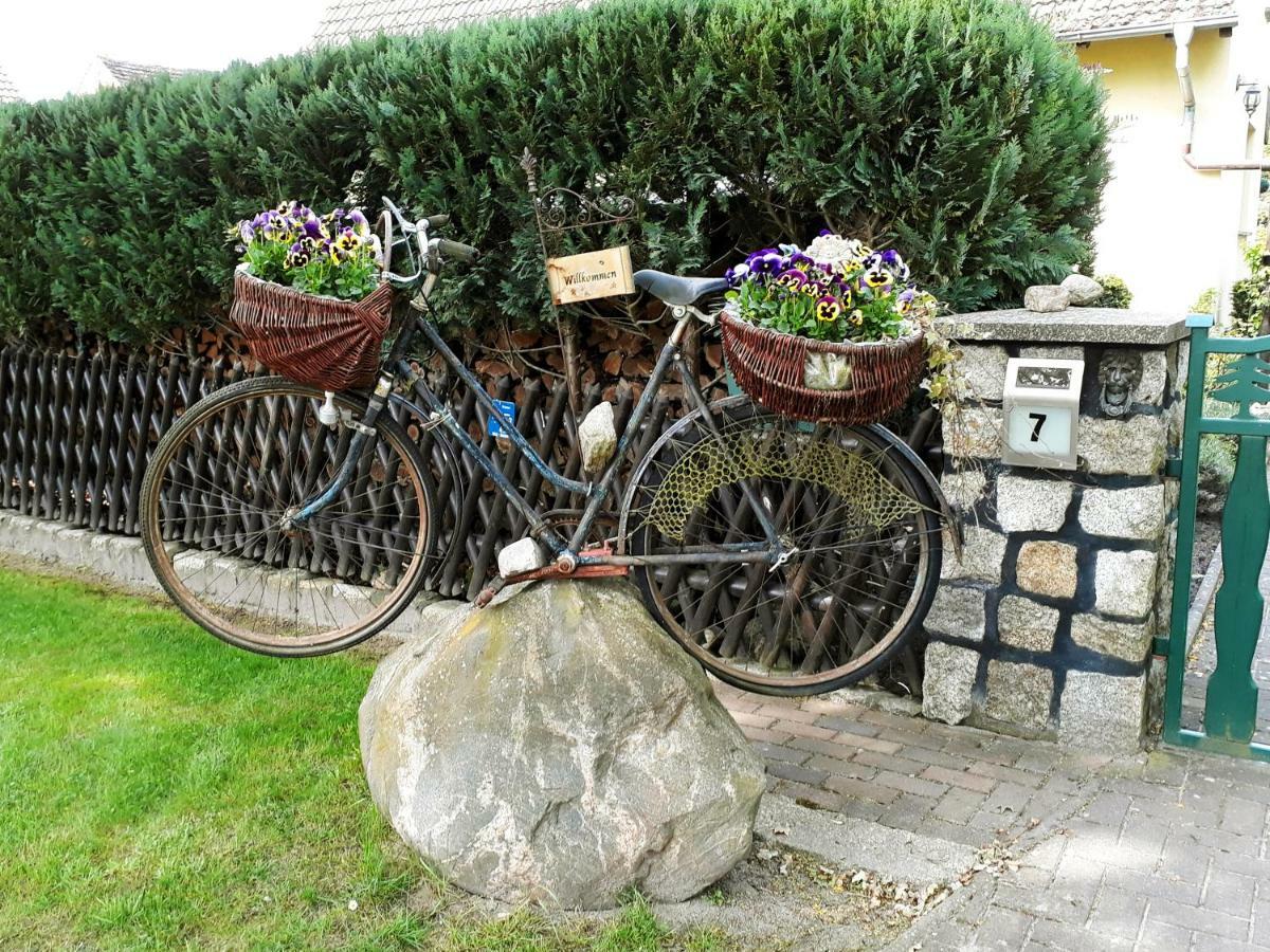 Pension Zum Weissen Hirsch Reitwein Exterior photo